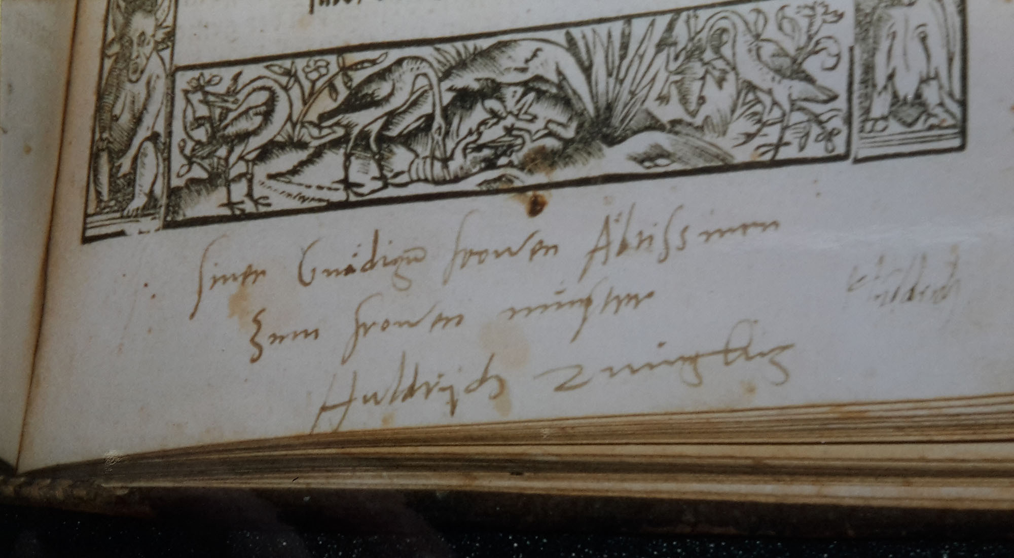 Widmung Ulrichs Zwinglis unter seiner Schrift «Von göttlicher und menschlicher Gerechtigkeit» an Katharina von Zimmern